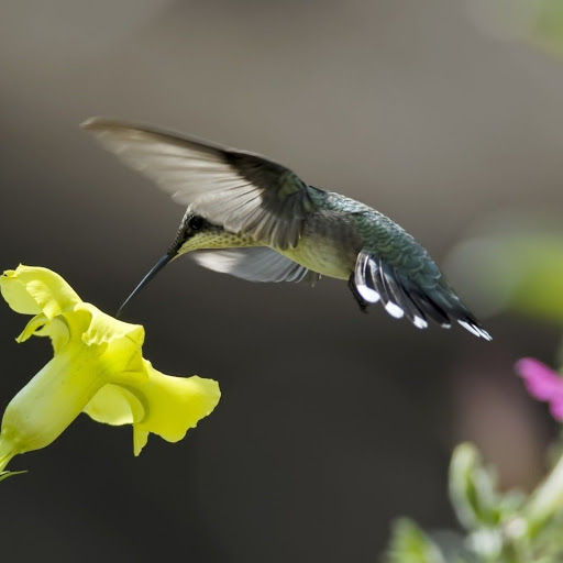 Hd-142969-ascw142969