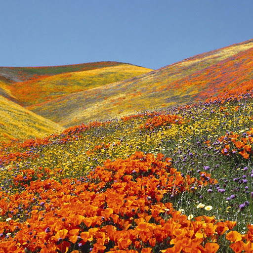 Hd-133046-ascw133046