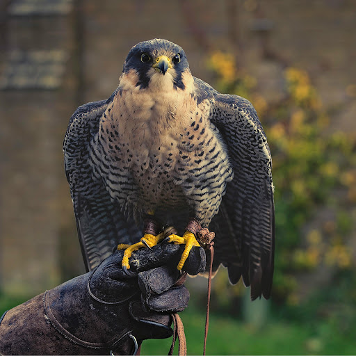 Hd-176744-ascw176744