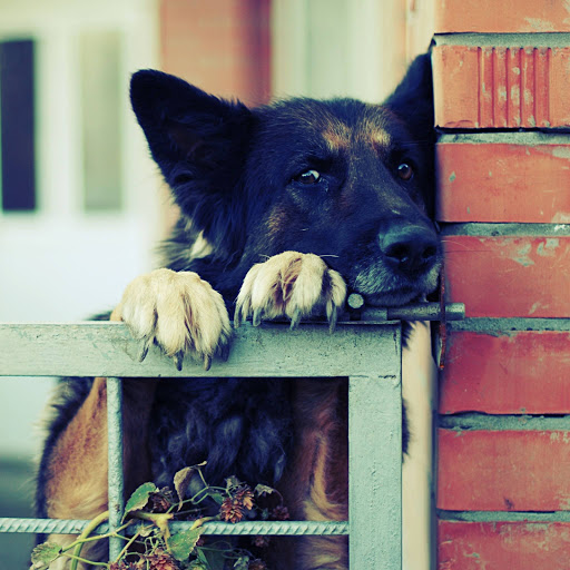 Hd-151241-ascw151241