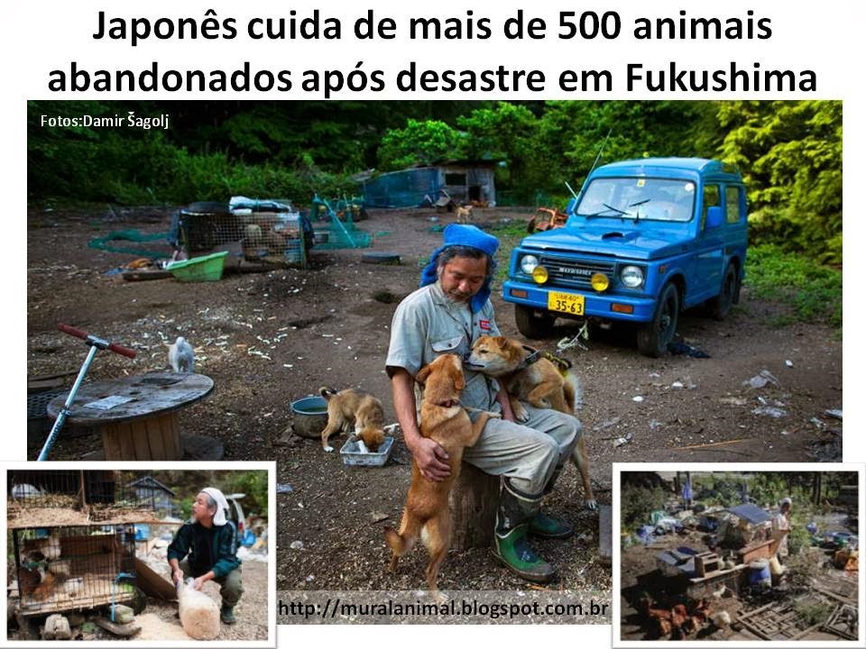 [Japon%25C3%25AAs%2520cuida%2520de%2520mais%2520de%2520500%2520animais%2520abandonados%255B3%255D.jpg]