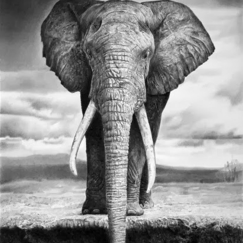 Hyper Realistic Pencil Drawings by Italian Artist Franco Clun.