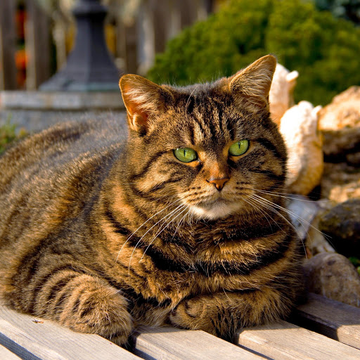 Hd-175482-ascw175482