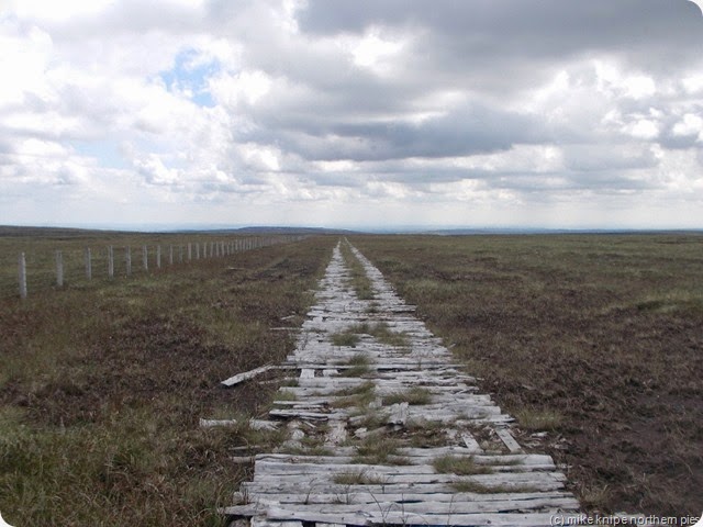 timber road