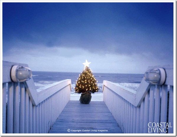 Coastal Christmas Tree