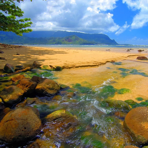 Hd-133455-ascw133455