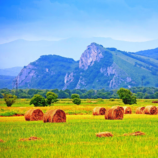 Hd-141742-ascw141742