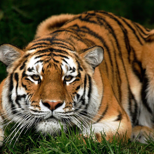 Hd-141831-ascw141831