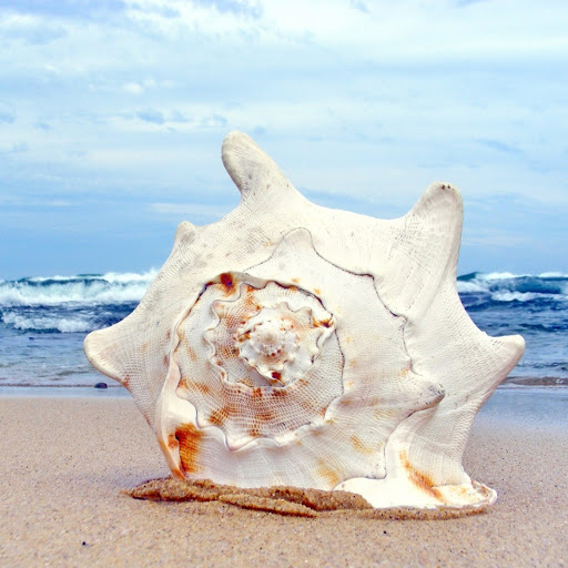 Hd-139478-ascw139478