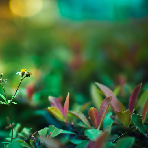 Hd-142544-ascw142544