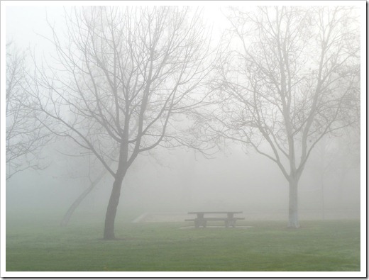 121211_fog_09