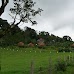 Finca Neblina del Bosque - La Rampla, Nicaragua esteli-jinotega-miraflor_101.jpg