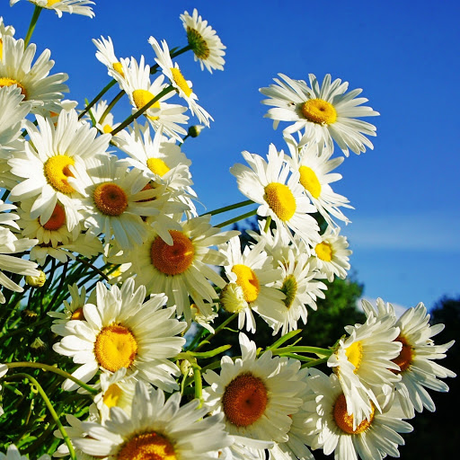 Hd-142259-ascw142259