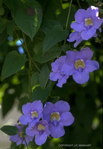 [image%255B5%255D.png]