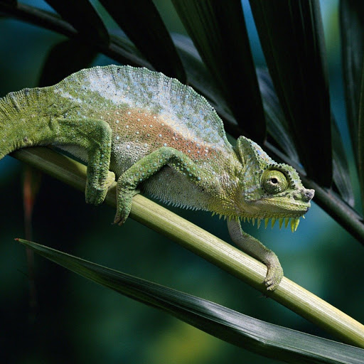 Hd-182239-ascw182239