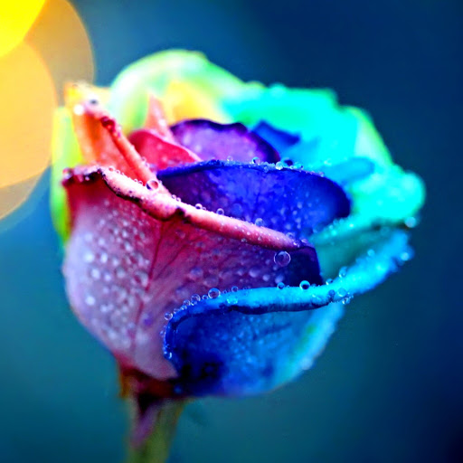 Hd-168796-ascw168796