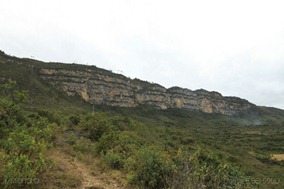 IMG_4731 IMG_4731