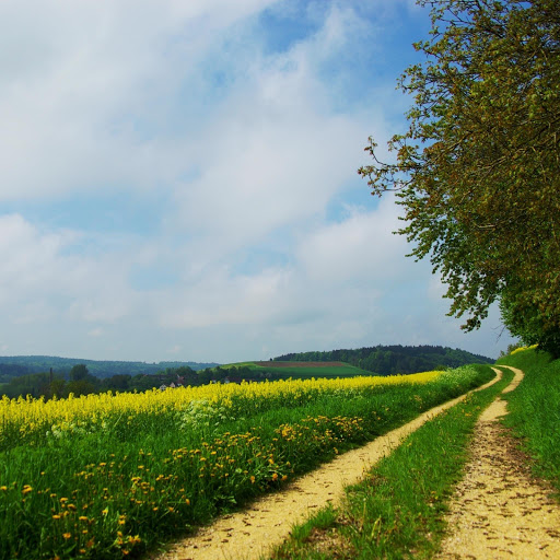 Hd-154305-ascw154305