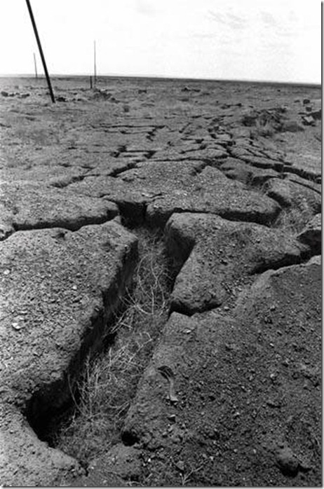clip_image004 clip_image004