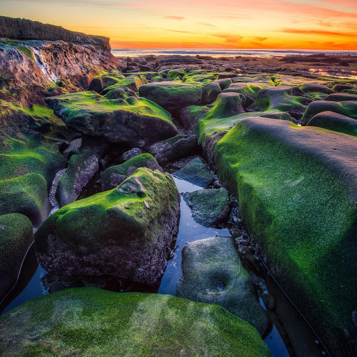 Hd-175616-ascw175616