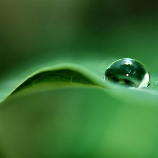 Hd-135065-ascw135065