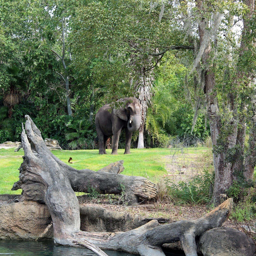 Hd-173548-ascw173548