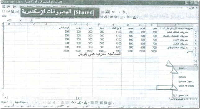 excel_for_accounting-194_06