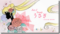 [Aenianos]_Bishoujo_Senshi_Sailor_Moon_Crystal_01_[1280x720][hi10p][B51DA29A].mkv_snapshot_04.08_[2014.07.08_08.33.06]