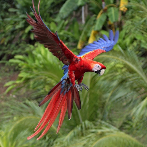 Hd-180102-ascw180102