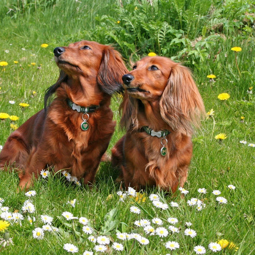 Hd-173703-ascw173703