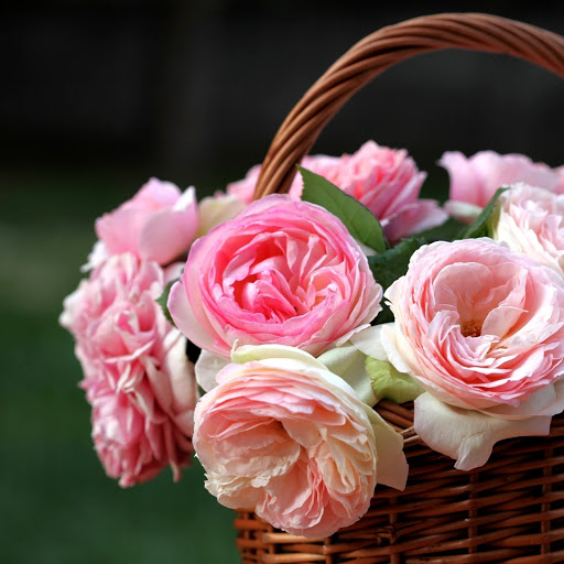 Hd-172135-ascw172135