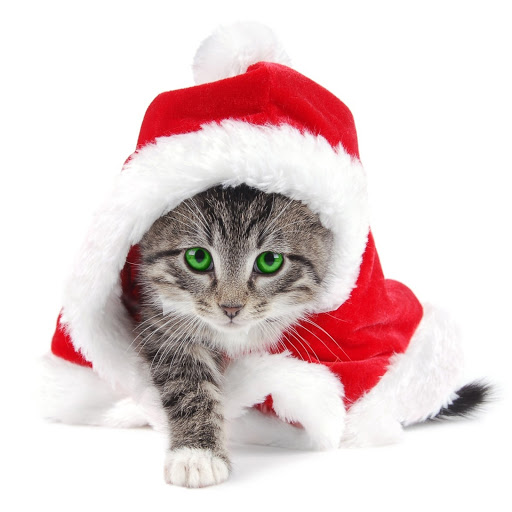 Hd-170898-ascw170898