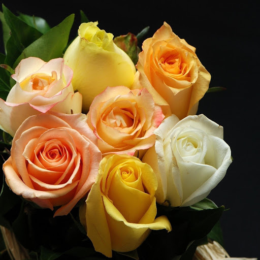 Hd-140305-ascw140305