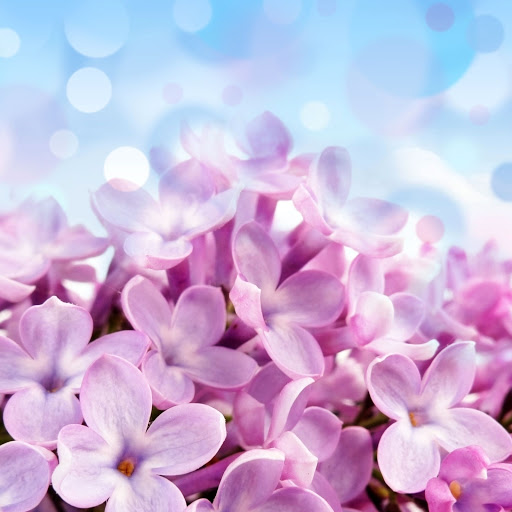 Hd-144252-ascw144252