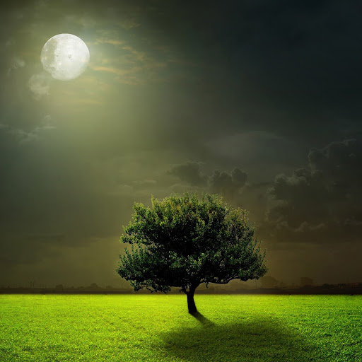 Hd-167669-ascw167669