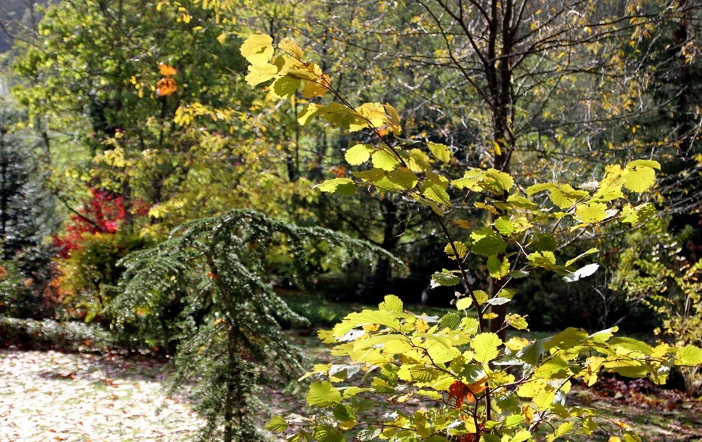 [IMG_1157%255B3%255D.jpg]