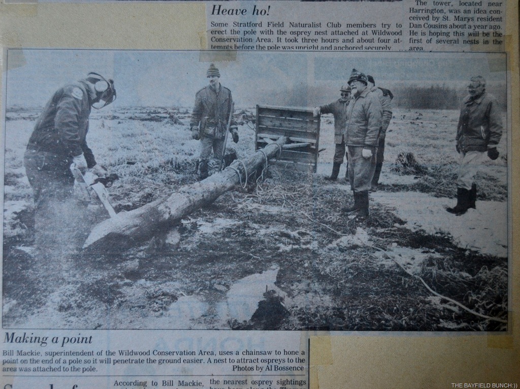 [DSC_0119%255B4%255D.jpg]