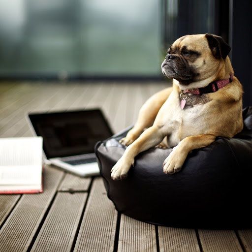 Hd-142554-ascw142554