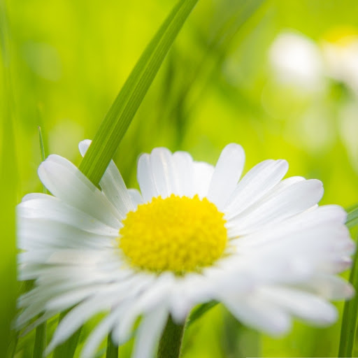 Hd-162933-ascw162933