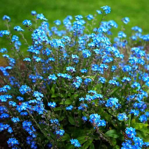 Hd-150372-ascw150372