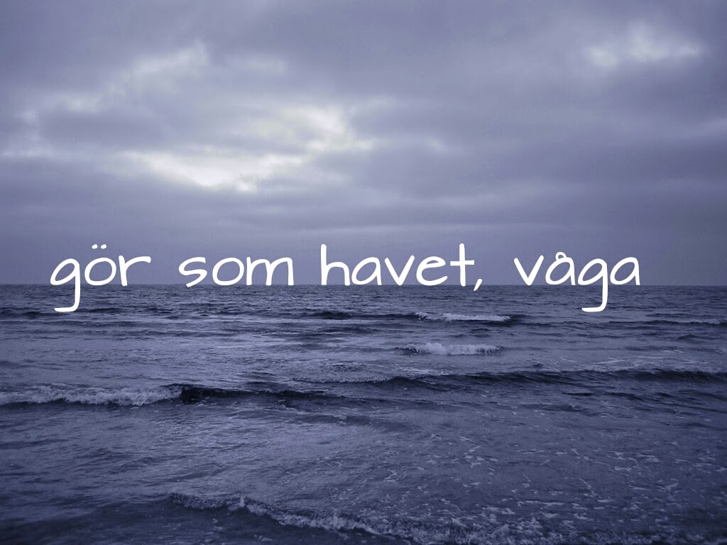 Bildresultat för våga