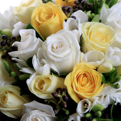 Hd-147678-ascw147678