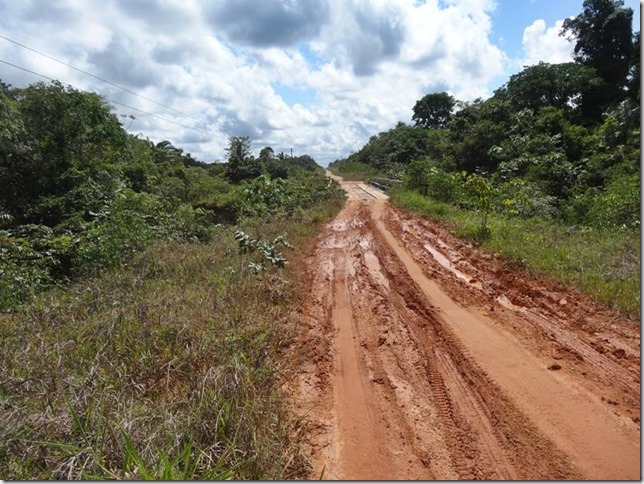 BR-319_Humaita_Manaus_Day_2_DSC05389 BR-319_Humaita_Manaus_Day_2_DSC05389