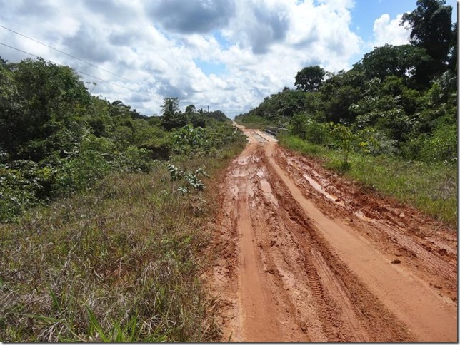 BR-319_Humaita_Manaus_Day_2_DSC05389