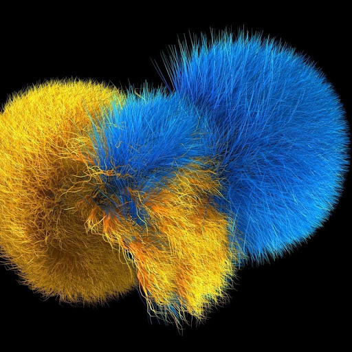 Hd-165616-ascw165616