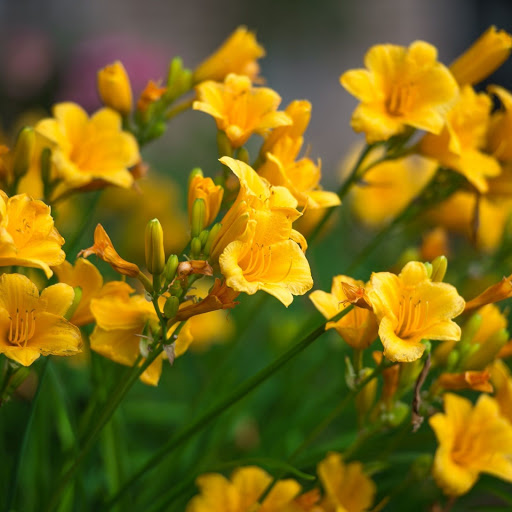 Hd-147267-ascw147267