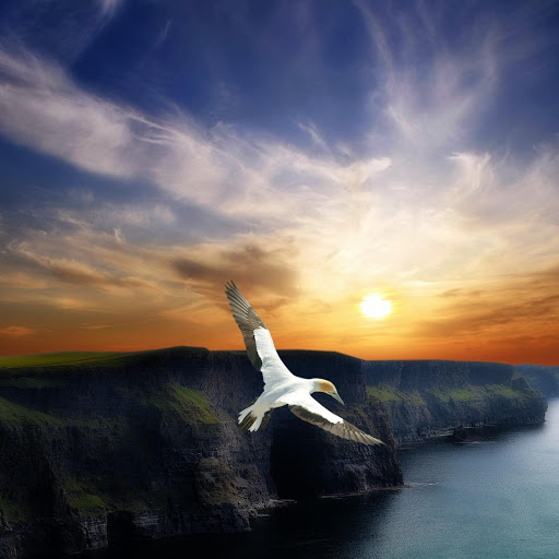 Hd-163468-ascw163468