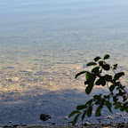 Lac d'Issarlès photo #496