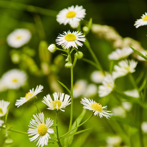 Hd-146742-ascw146742