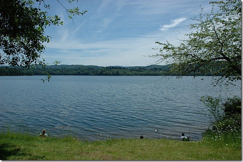 Ike Kinswa Lake View 2